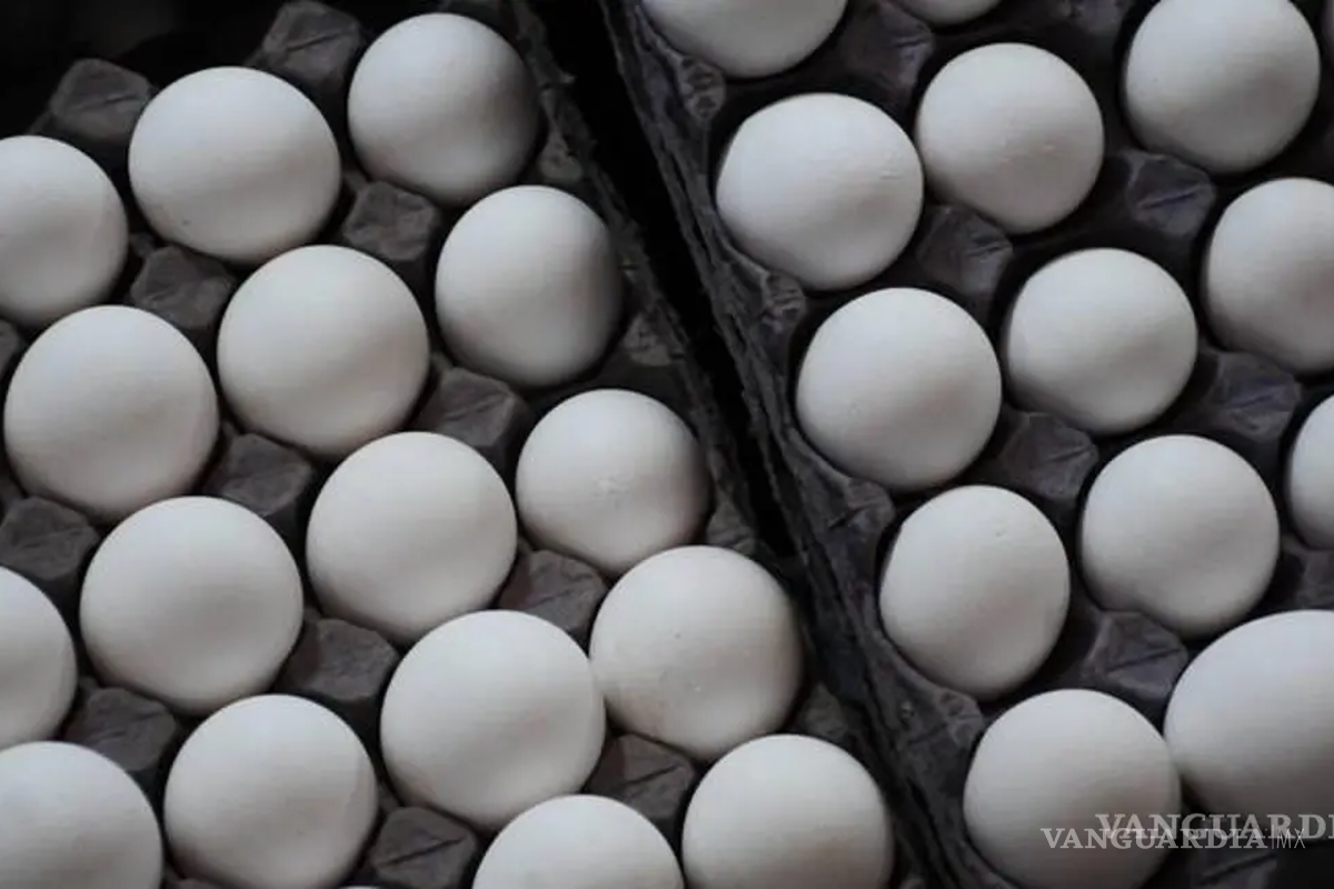 Se dispara el precio del huevo en Estados Unidos; prevén alza del 20 por ciento en pascua