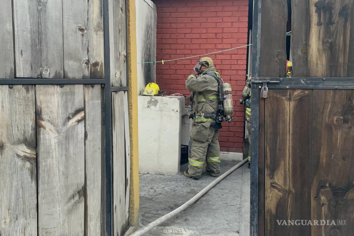 Bomberos rescatan a ‘Princesa’ de incendio en Saltillo; tortuga mascota es entregada a su familia