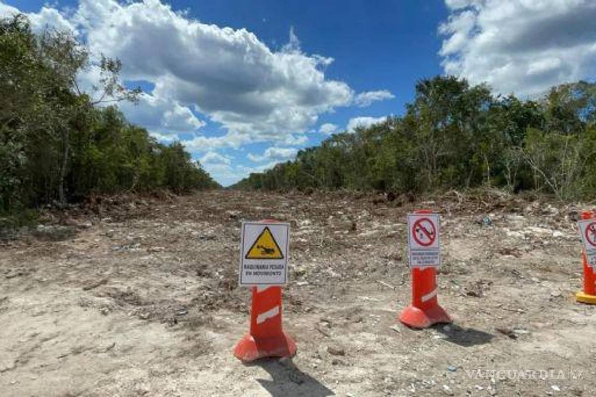 Obras del Tren Maya en Playa del Carmen son un ecocidio, denuncian