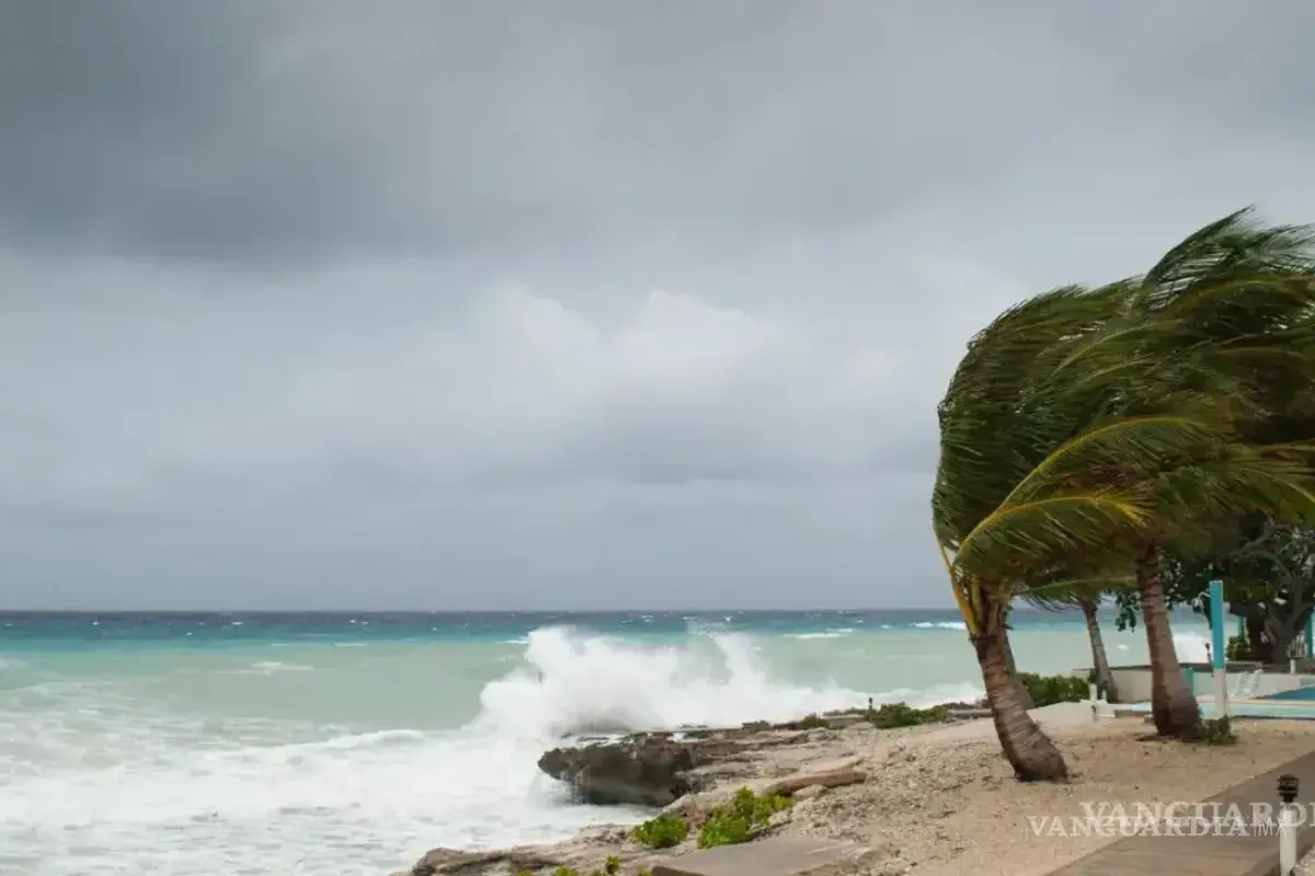 Ciclón ‘Alvin’ se forma en costas de Guerrero; ¿cuál será su posible trayectoria?