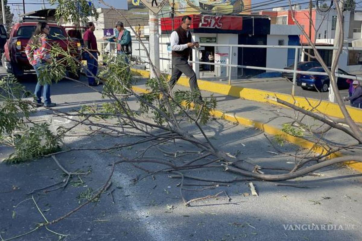 $!La zona permaneció acordonada mientras personal de auxilio retiraba los escombros y liberaba el carril afectado.