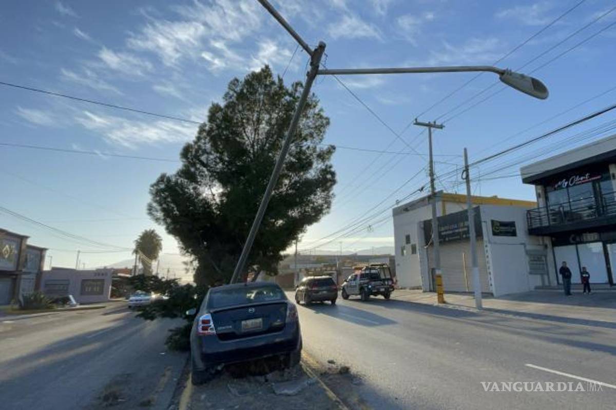 $!Árbol y poste resultaron dañados tras el impacto, evidenciando la magnitud del accidente.
