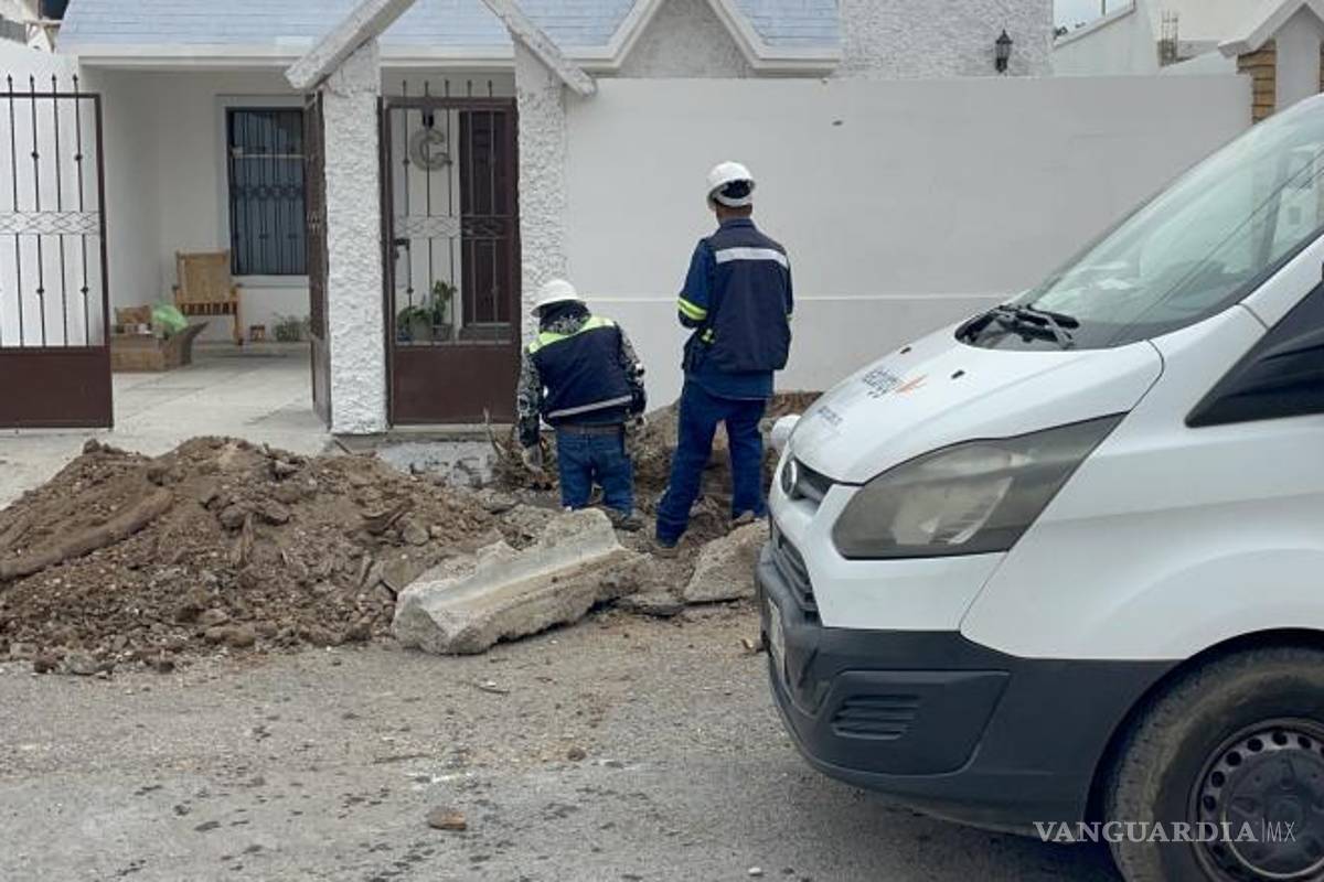 $!Personal de la empresa de gas natural logró controlar la fuga, permitiendo que los trabajadores continuaran con la remoción de la raíz de manera segura.