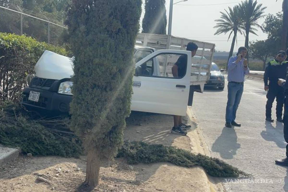 $!Árbol derribado luego de que el vehículo se subiera al camellón central.