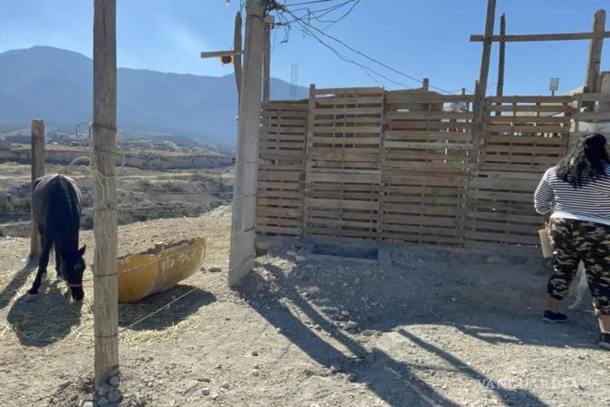 $!Dionisio Olvera Niño habría instalado una caballeriza en un predio invadido, bloqueando la calle principal de Rancho Las Tetillas.