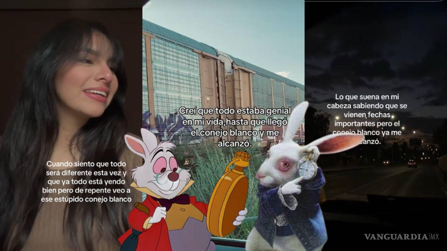 ‘Pero el conejo blanco...’: Este es el triste significado de la nueva tendencia viral de TikTok