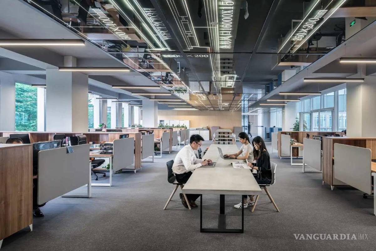 Universidades se rezagan frente al nuevo mercado laboral, alertan especialistas