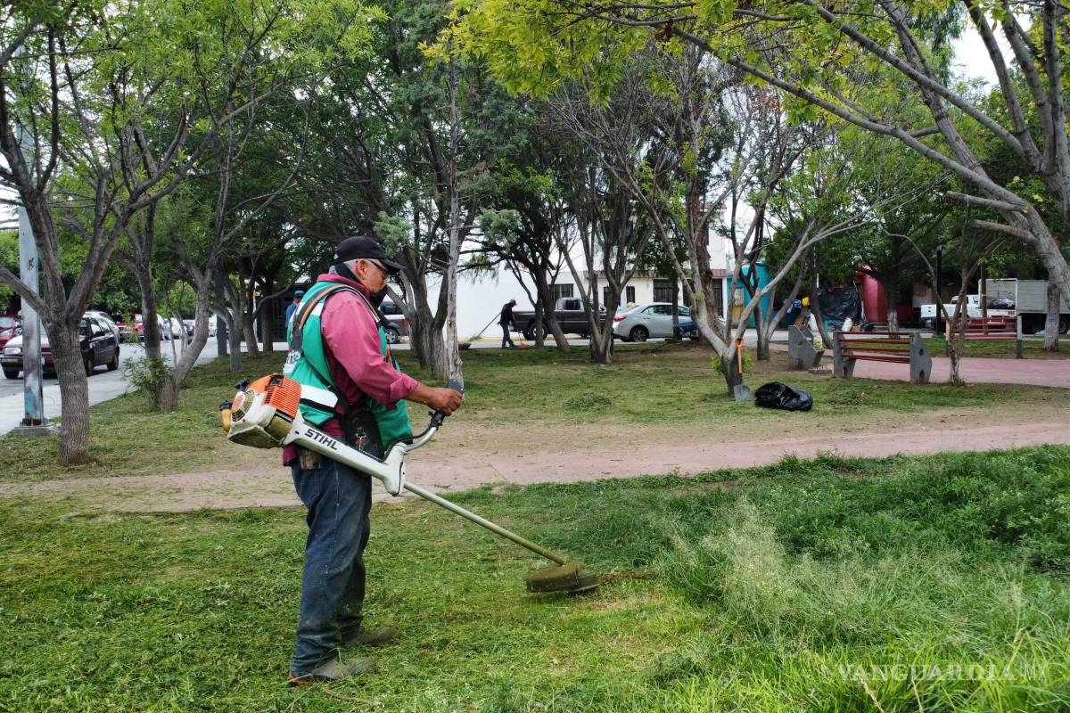 $!Trabajos de poda y mantenimiento mejoran la imagen de accesos y vialidades principales.