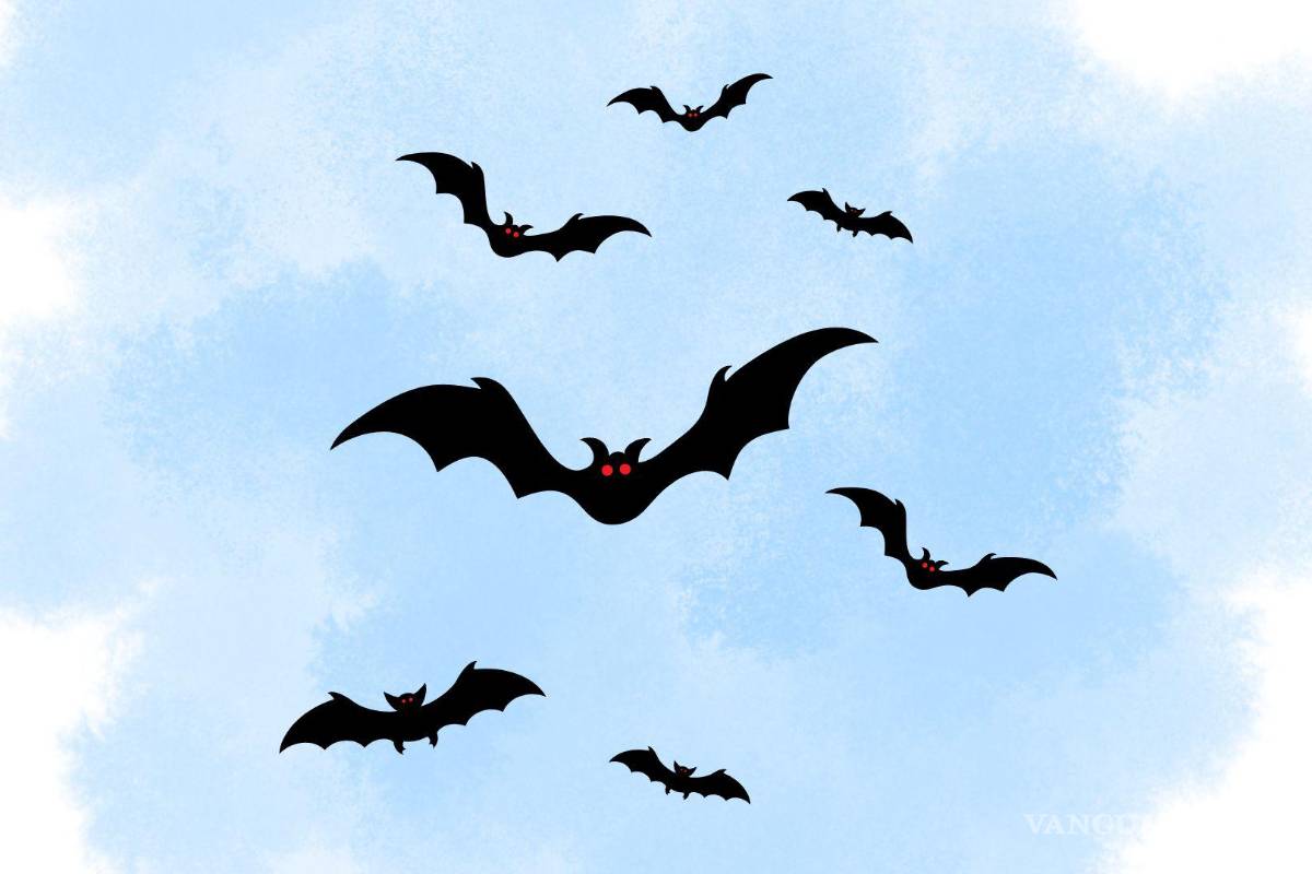 La sabiduría y la muerte de Ozzy Osbourne. Así nos iremos, dejando atrás un video de una vida vivida