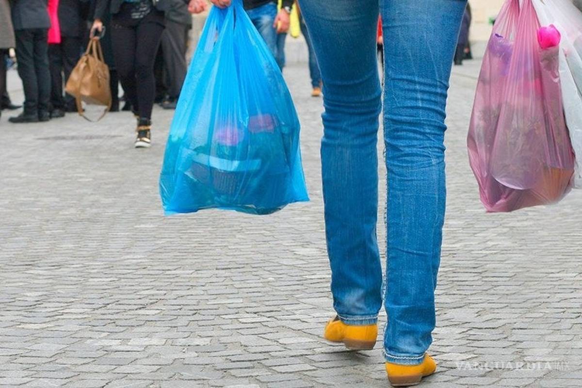 Estados se dividen para tratar de eliminar o reducir bolsas de plástico