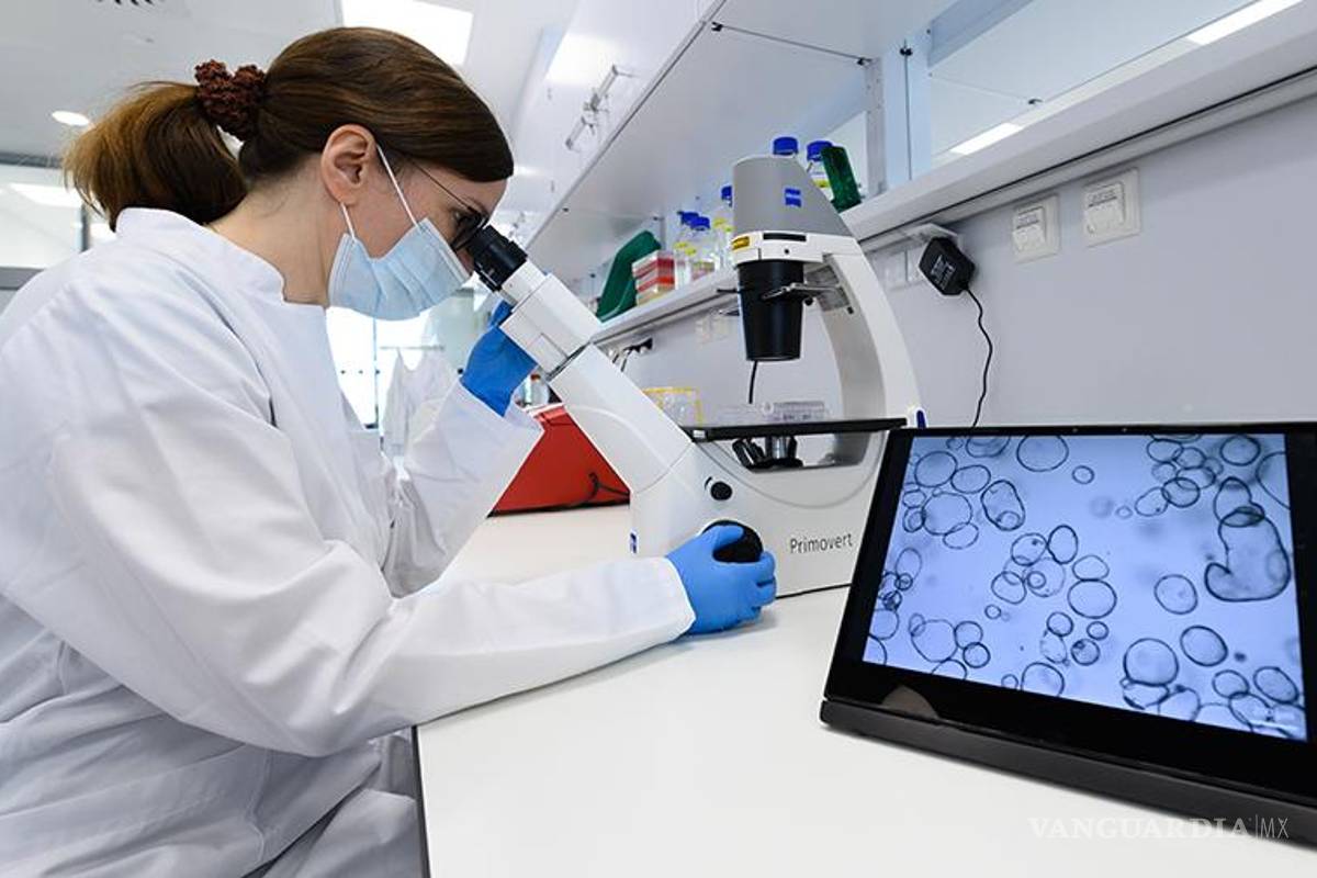 Aparece nueva enfermedad altamente mortal para hombres, VEXAS