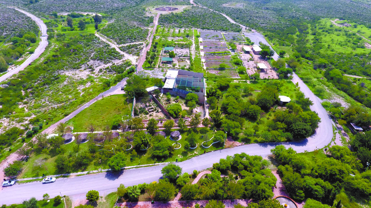 Pintan de verde a Monclova Sembrando conciencias