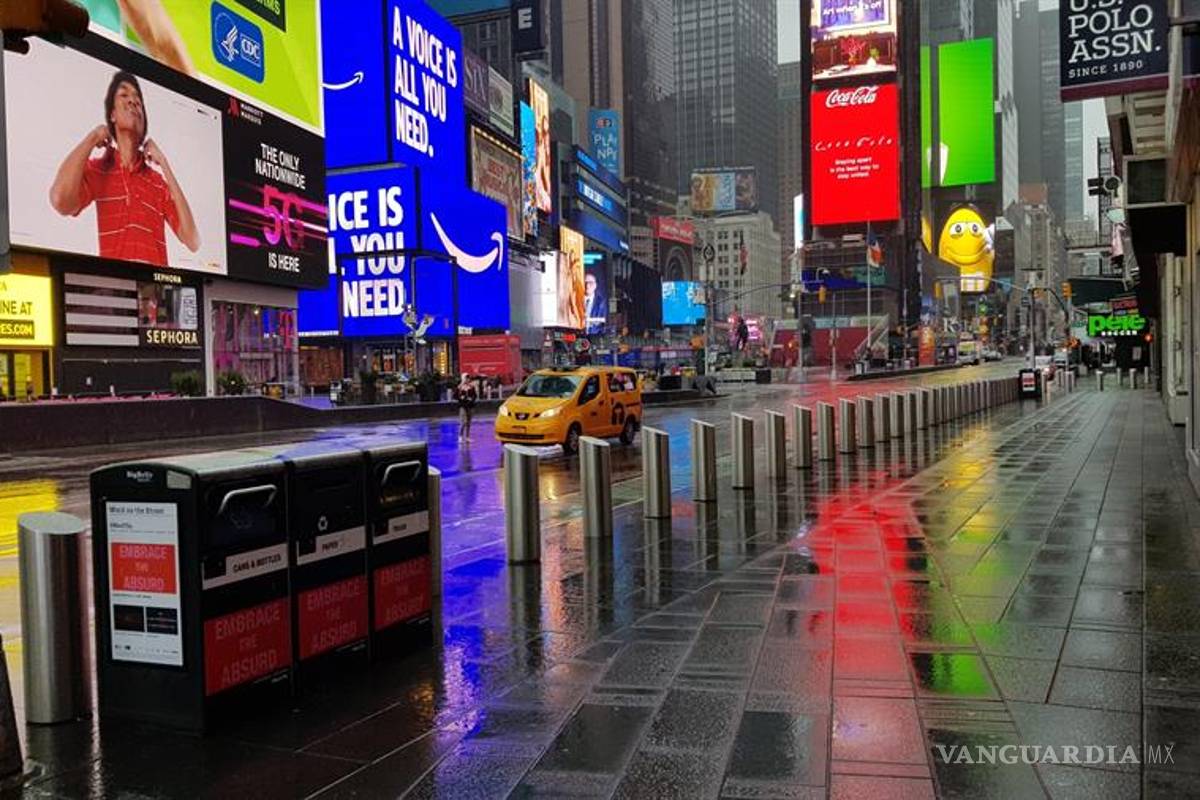 Dos gatos son las dos primeras mascotas que dan positivo de COVID-19 en Nueva York