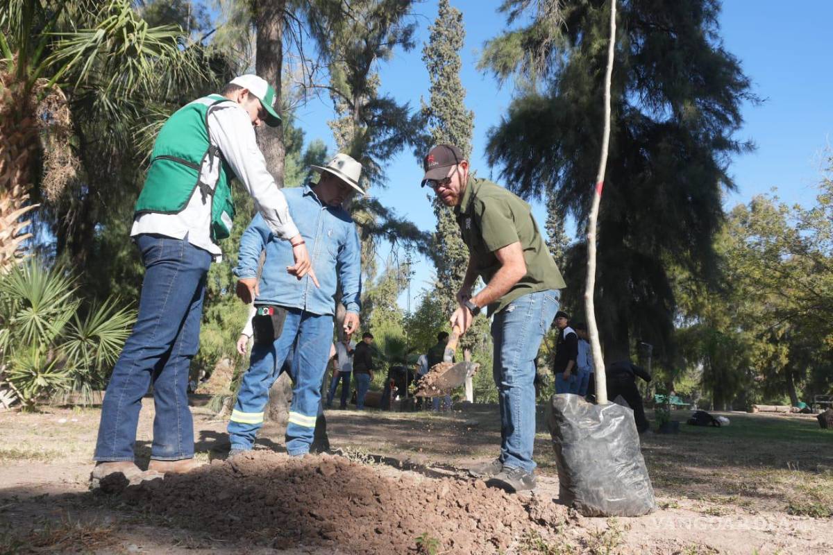Reforestan Bosque Venustiano Carranza con 100 nuevos árboles en Torreón