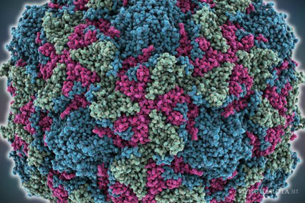 Detectan raro virus de parálisis en Estados Unidos