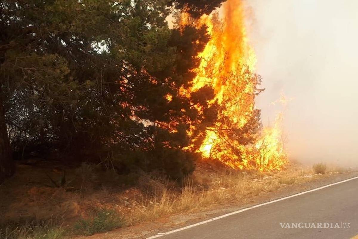 $!¡Ahora fue un corto! Fuego afecta 600 hectáreas en Arteaga
