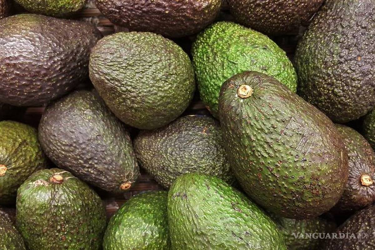 Celebración de 'lo mexicano' en EU impulsa 25% las exportaciones de aguacate