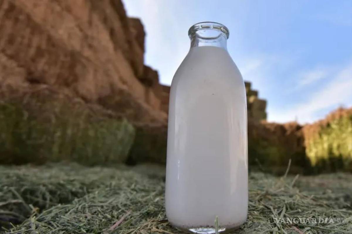 Celebra AMLAC la contribución del sector lechero en la nutrición de los mexicanos