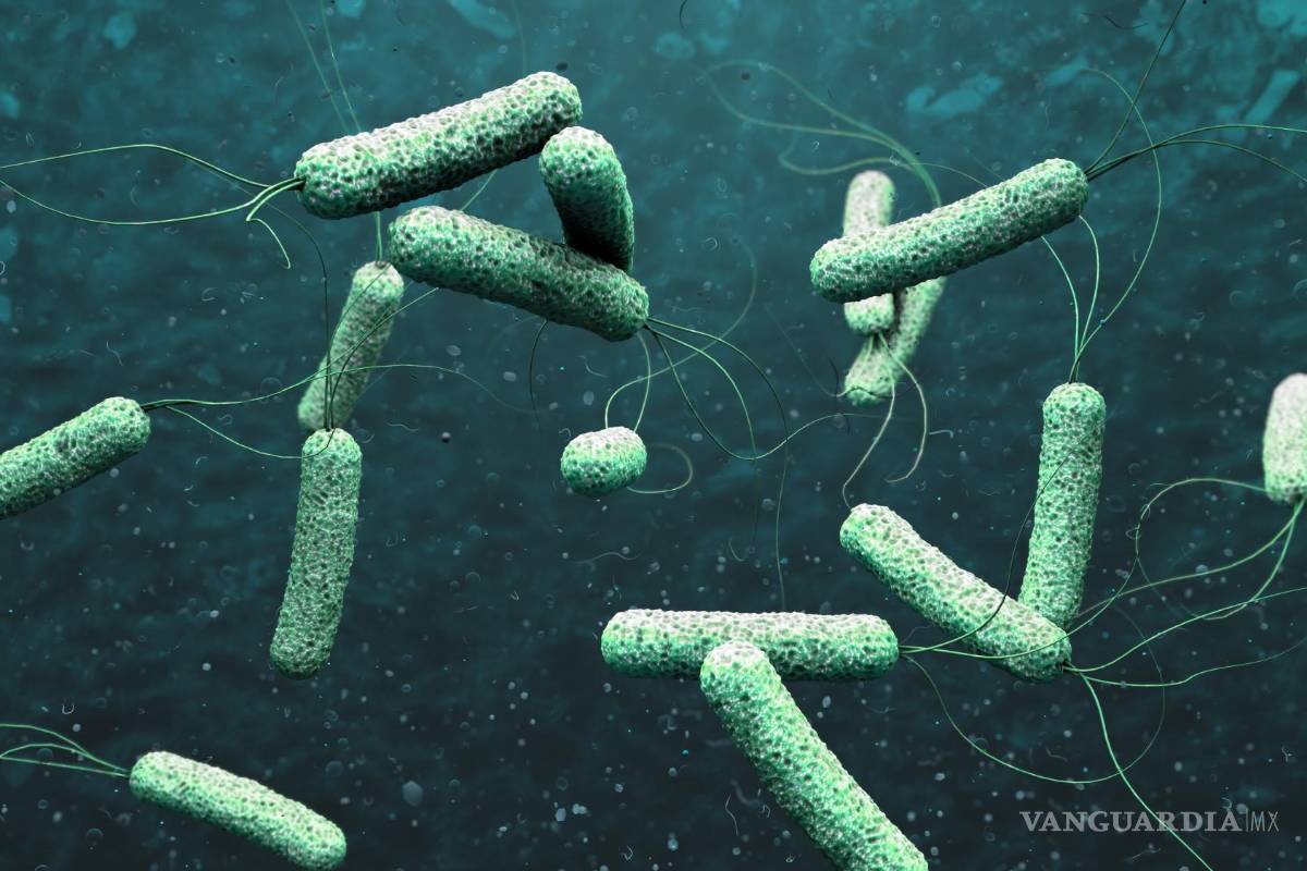 Confirman caso de cólera en Oaxaca; activan cerco epidemiológico