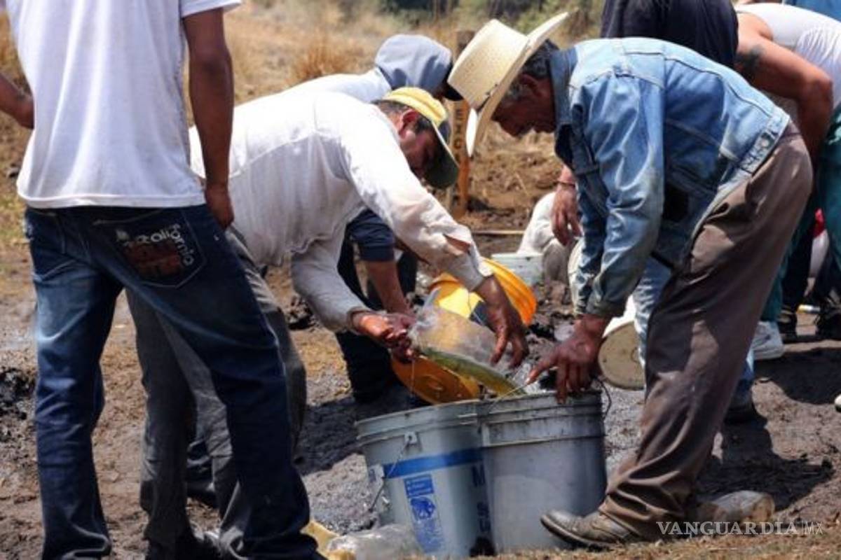 Cártel Jalisco Nueva Generación y Los Zetas... los cárteles que más se benefician del huachicoleo