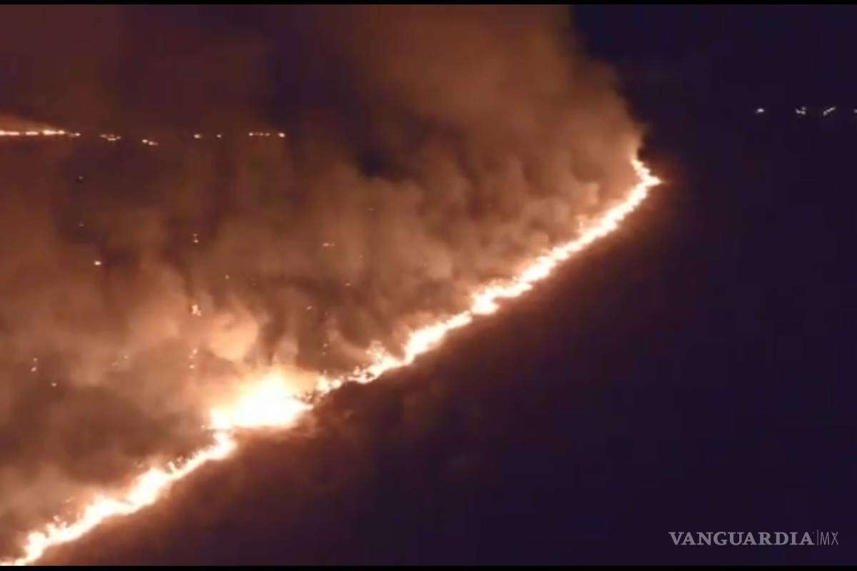 Provoca fogata incendio de más de 16 hectáreas en Nadadores