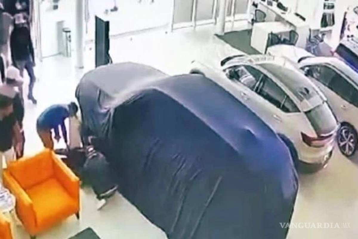 Comando robó 14 autos de lujo de una agencia Volvo en León