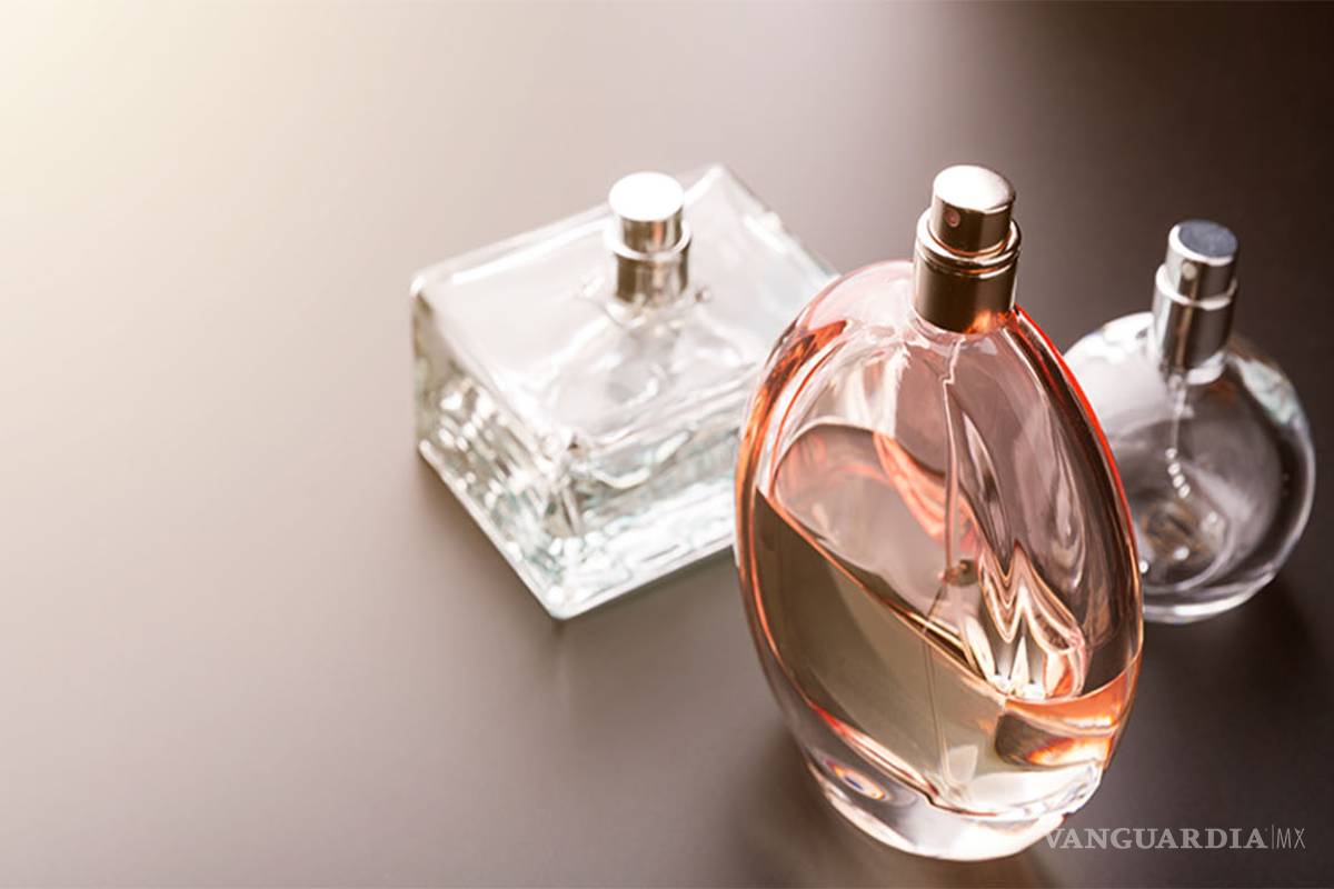 Museo del Perfume: el nuevo recinto para los amantes de las fragancias