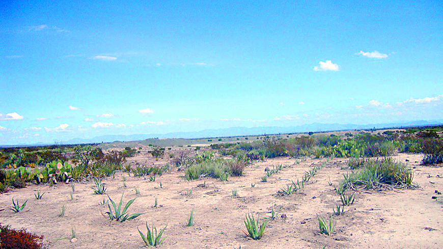 Valida Conagua centro de residuos peligrosos en Coahuila