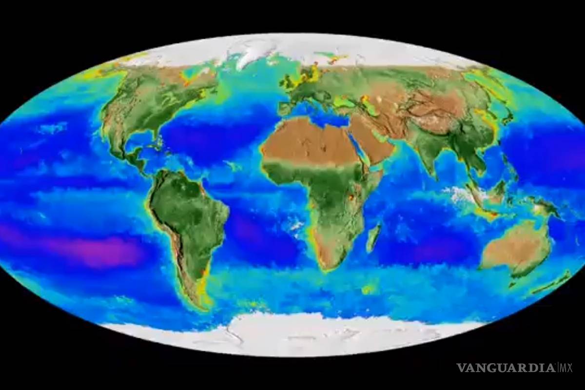 Problemas ambientales podrán verse desde web