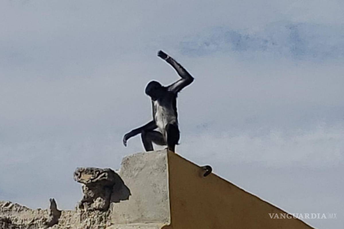 ¿Jumanji? Avistan en Parras a mono araña en techo de negocio
