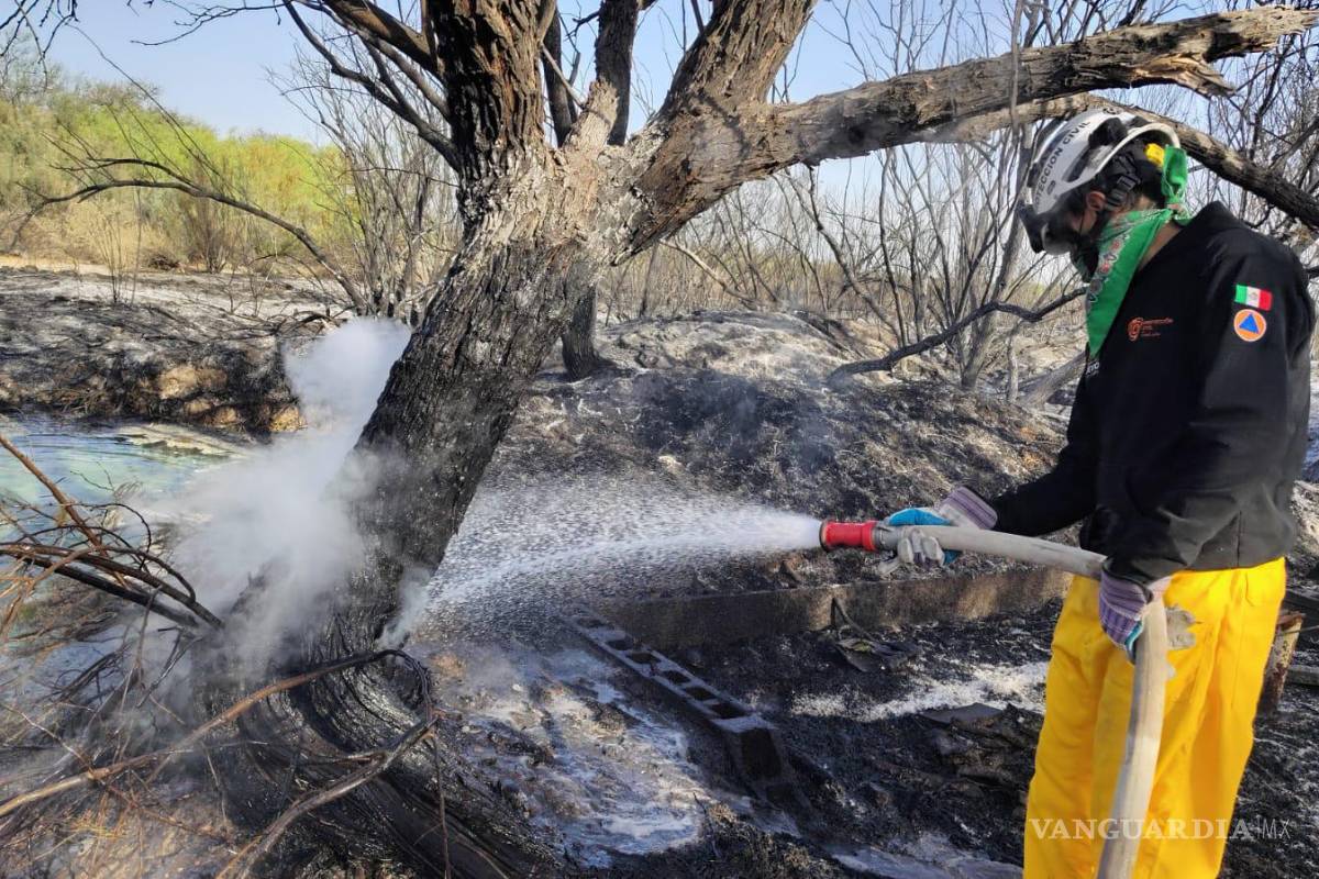 Incendio forestal afecta 150 hectáreas de matorral y pastizal en Nuevo León
