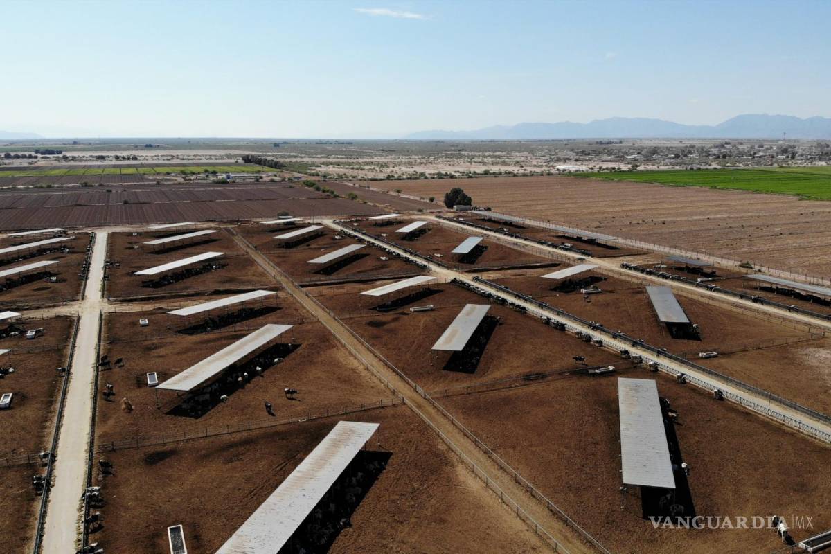 Reconocen a periodista de VANGUARDIA en Premio Breach/Valdez