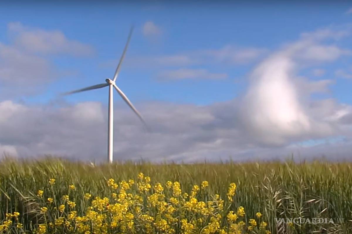 Estiman que participación de energía eólica llegue a 21% en 2020