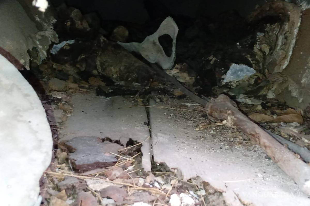 $!Cuerpos expuestos tras el saqueo de tumbas en el histórico cementerio de Parras