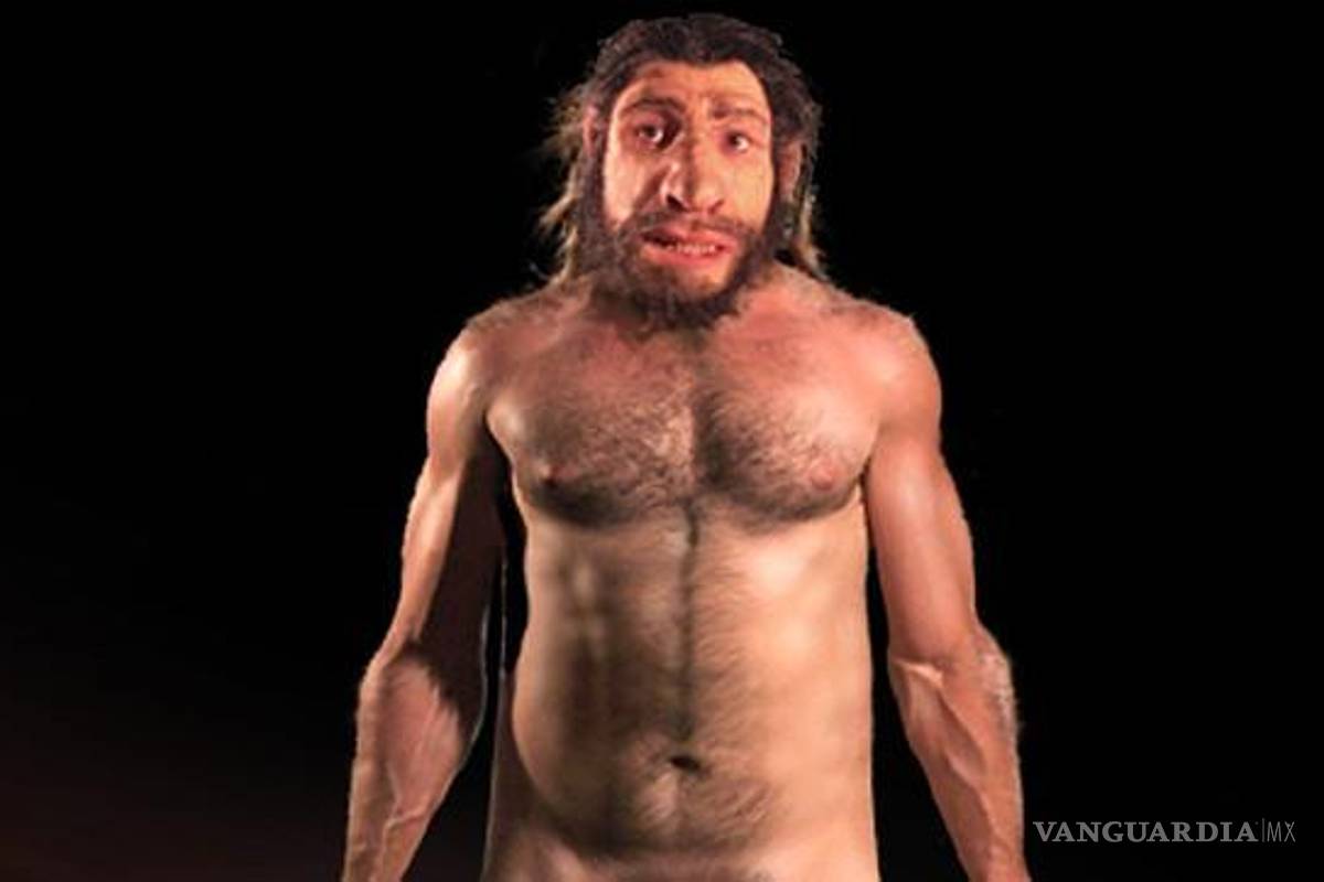 Descubren primera evidencia de canibalismo neandertal en Europa