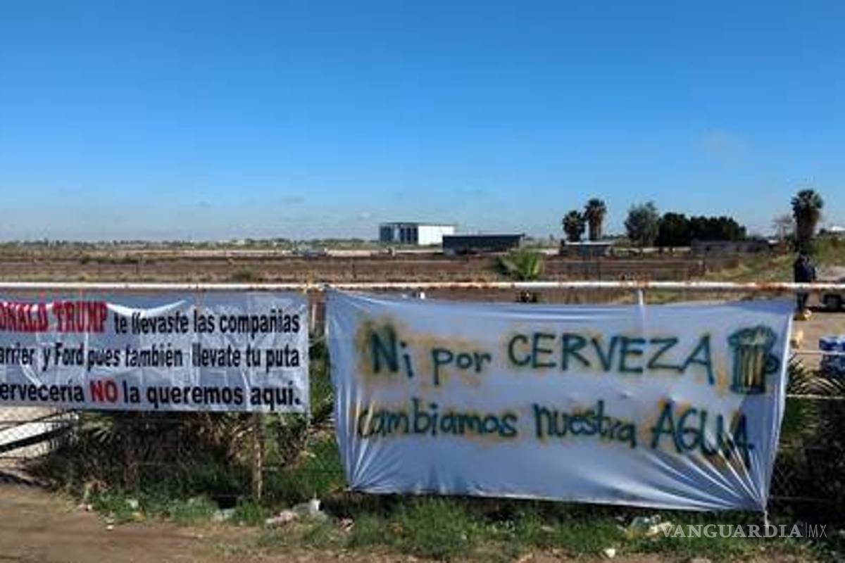 $!Hubo corrupción en permisos de Constellation Brands, argumenta AMLO