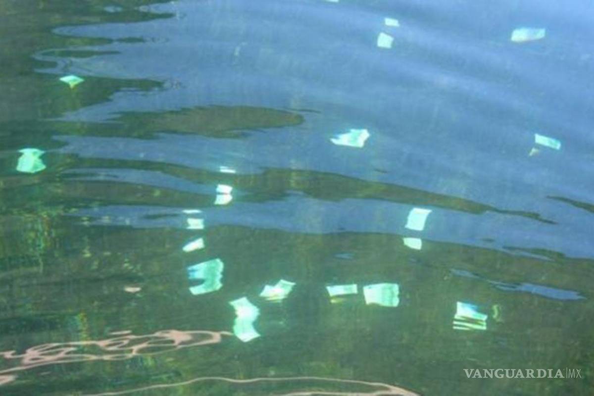 Hallan 100 mil euros flotando en el río Danubio, en Austria