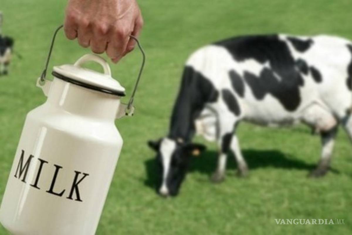 $!Mexicanos, esclavos de la industria lechera en EU