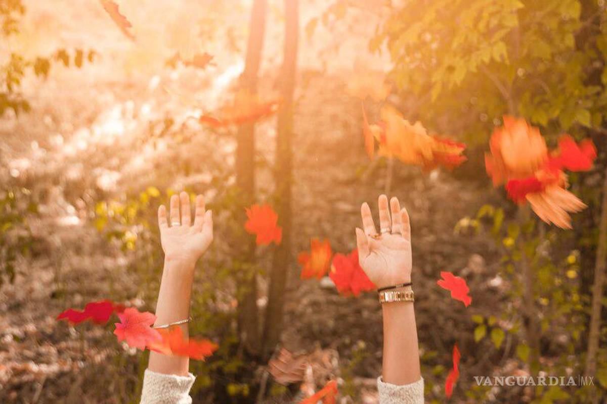 Noviembre me gustó, pa’ que se vaya. Arranca la cuenta regresiva