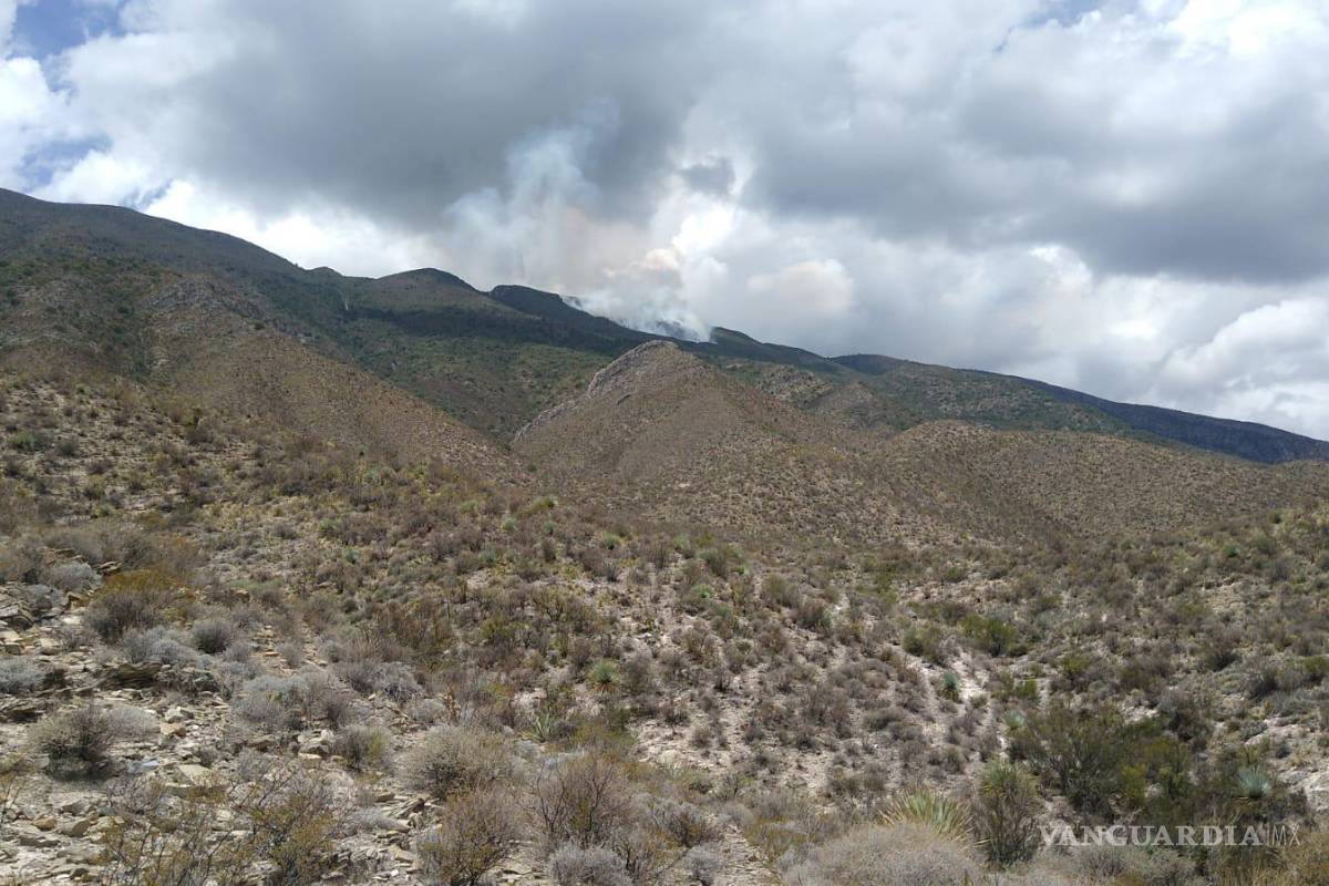 Se reactiva incendio en la sierra de Parras de la Fuente