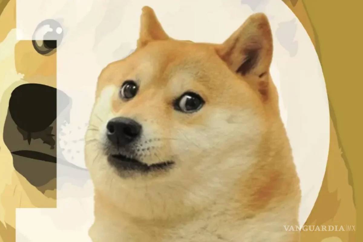 Dogecoin: ¡Pierde más de 167 mil dólares en un día!