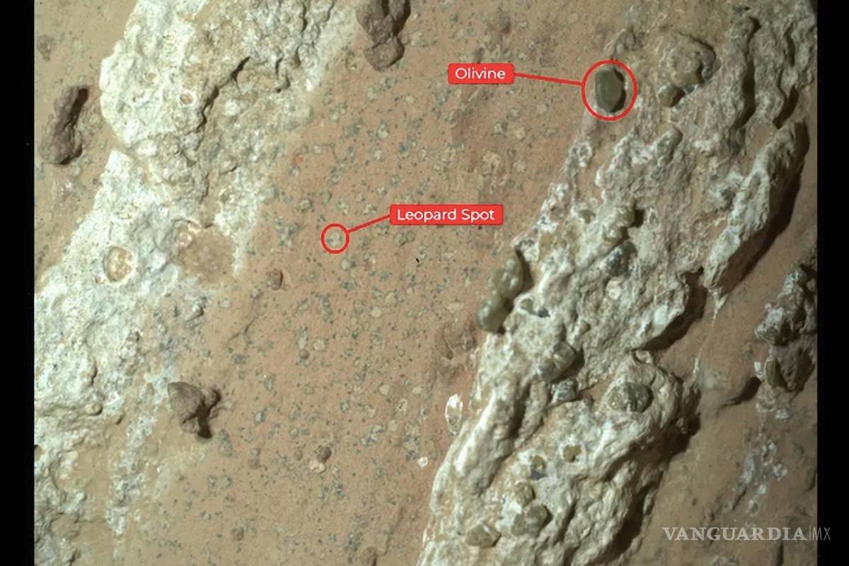 NASA cree haber encontrado indicios de vida microbiana en una roca de Marte