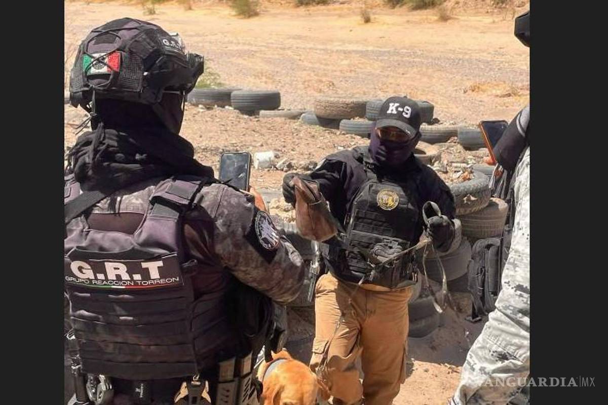 Torreón: Realizan operativo en Jimulco; detienen a un hombre y aseguran droga con apoyo de binomios caninos