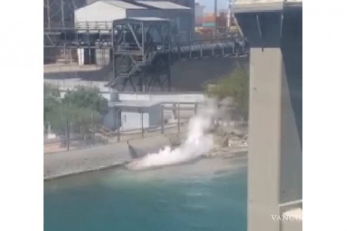 Gobierno de AMLO descarta efectos ambientales graves por derrame de Grupo México