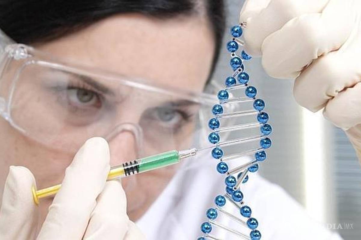 Científicos descubren vía para prolongar la vida humana