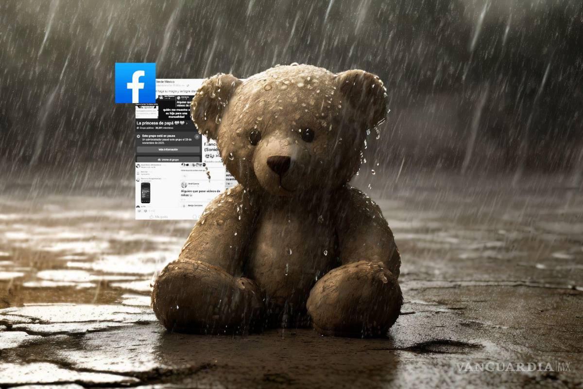 Colectivos denuncian caso ‘La princesa de papá’, un grupo de Facebook dedicado a la pederastia
