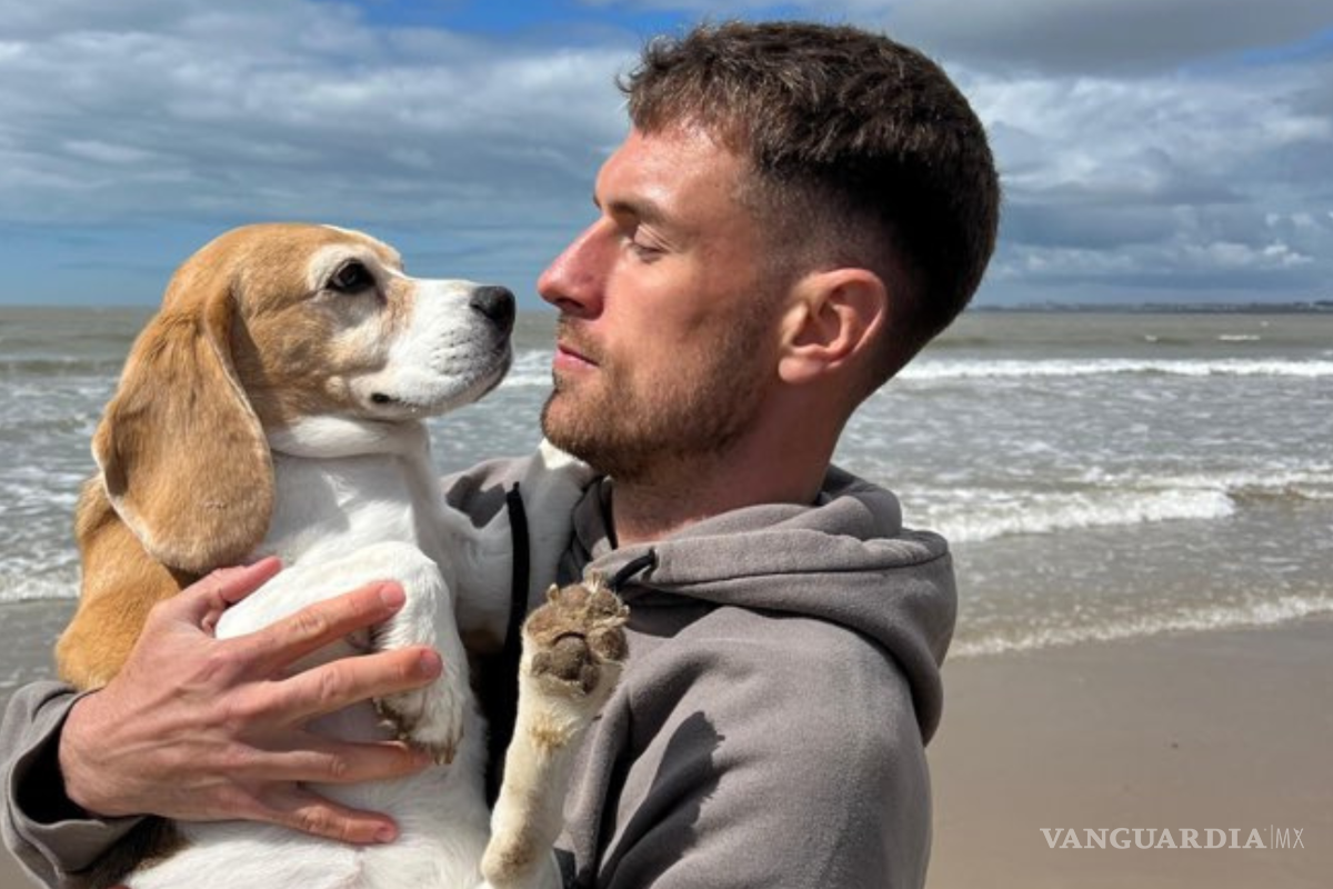 ‘No creo que la encontremos nunca’: Aaron Ramsey pierde la esperanza de encontrar a su perrita Halo