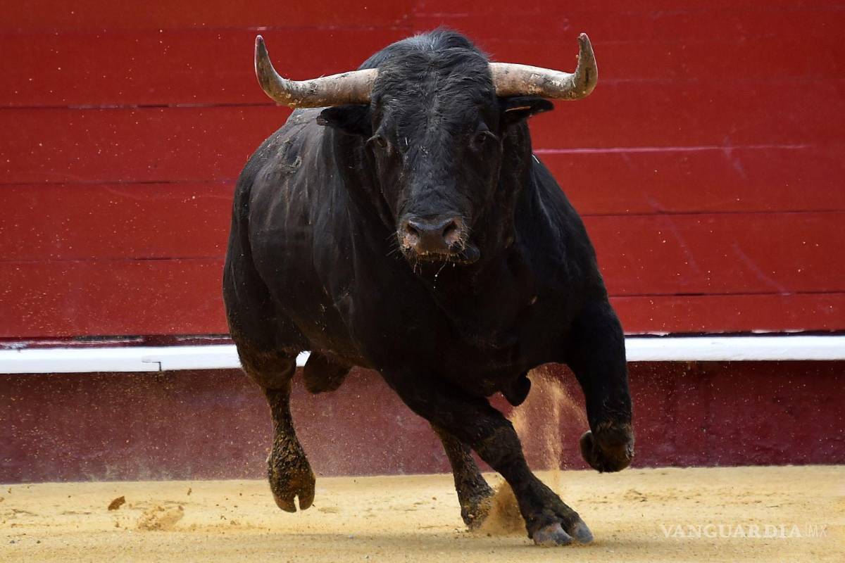 Huamantlada 2025: Reportan 8 personas lesionadas, una de gravedad, en Tlaxcala