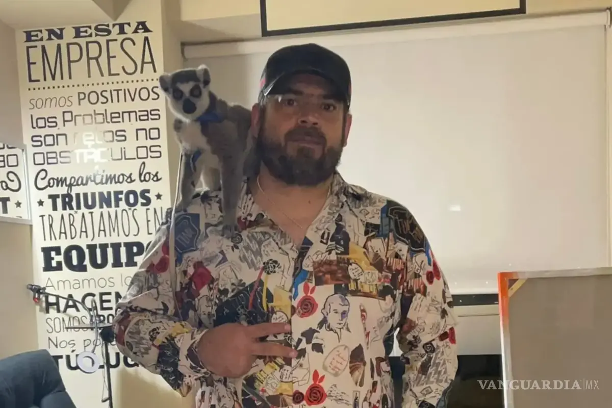 Noticias del fin de semana en México: Cae ‘Tormenta Junior’, avanza caso ‘Lord Pádel’ y asesinan a youtuber