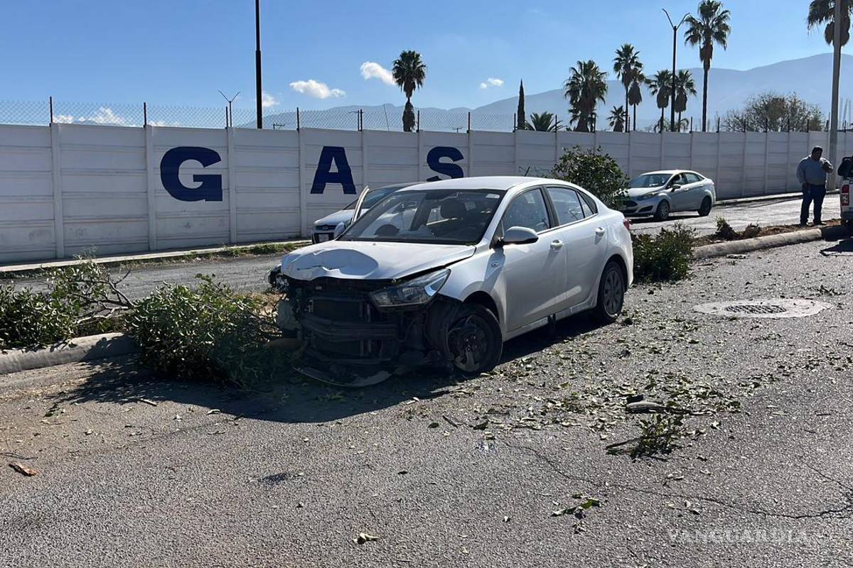 Derriba árboles y cruza el camellón tras invasión de carril al oriente de Saltillo